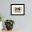 Parmele Animals Framed Art