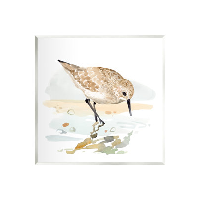 " Grazing Sandpiper Shoreline " by Victoria Barnes