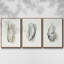 Oysters On The Bay I, ensemble de 3 toiles encadrées sur toile-97709207-97709209