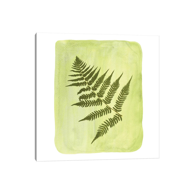 Fern 1 Piece Painting on Canvas, 30.48cm H x 30.48cm W x 1.91cm D, Wrapped Canvas