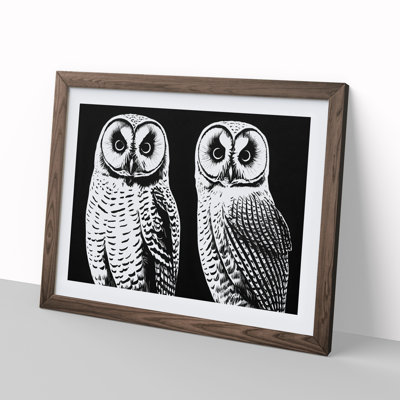 Owls - Single Picture Frame Print