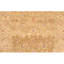 Hand Knotted Oriental Area Rug