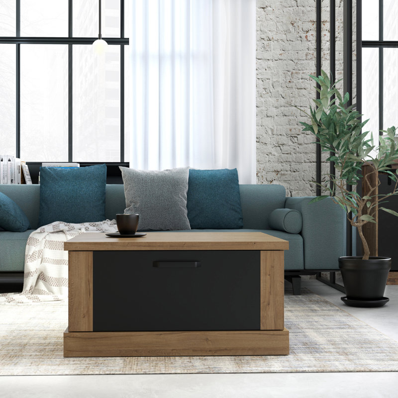 Lauran Solid Coffee Table with Storage