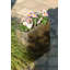 Handmade Planter-18675248