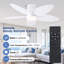 Ventilateur de plafond de 42 pouces avec lumière et télécommande / commande APP-147754699