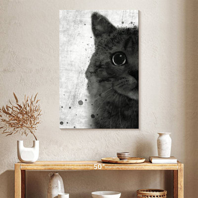 Brampt Black And White Cat