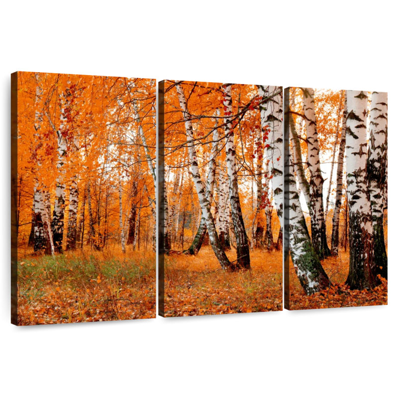 Forêt de bouleaux Harnek Autumn, H 36 po x l 57 po