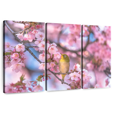 Oiseau chanteur sakura brun