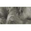 Tapis gris Upper Swainswick-1345109109