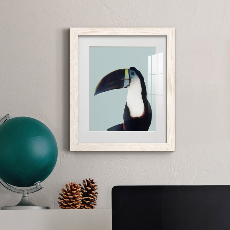 Aruba, faune, cadre photo, Toile blanche encadrée, H 20 po x l 17 po x P 1,5 po