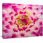Photographie « smooth white rose pétales »-35062985-35062996