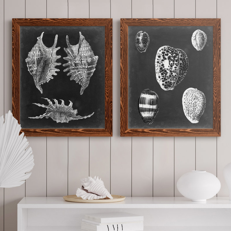 Alabaster Shells V - ensemble de 2 reproductions d'art sur toile, H 20 po x l 17 po x P 1 po, Toile avec cadre érable