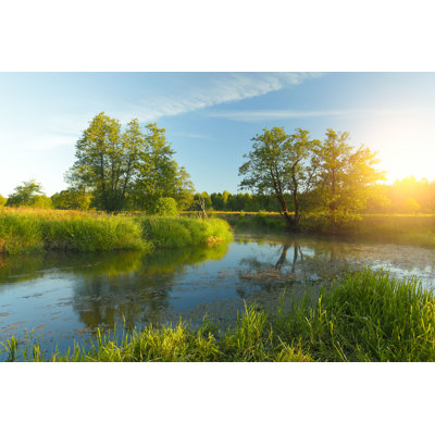 " Sunny Spring Landscape "