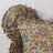 Manjari Ruffle Throw Pillow Cover with Micro Filler