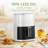 Air Fryer 12-In-1, Compact & Large 6-Qt With Viewing Window, Roast, Reheat, Dehydrate, Bake, Steam-113301403