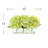 Hydrangeas Arranged in Clear Glass Vase-1231454311
