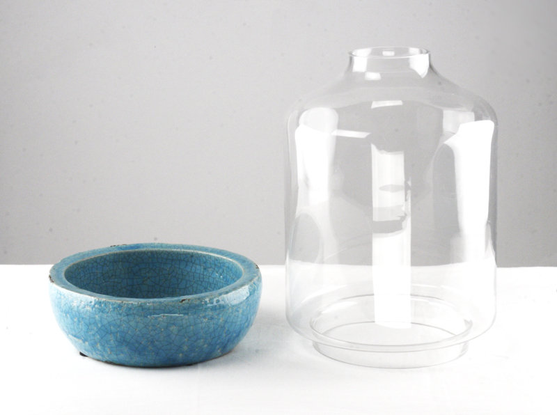 Decorative Bottles