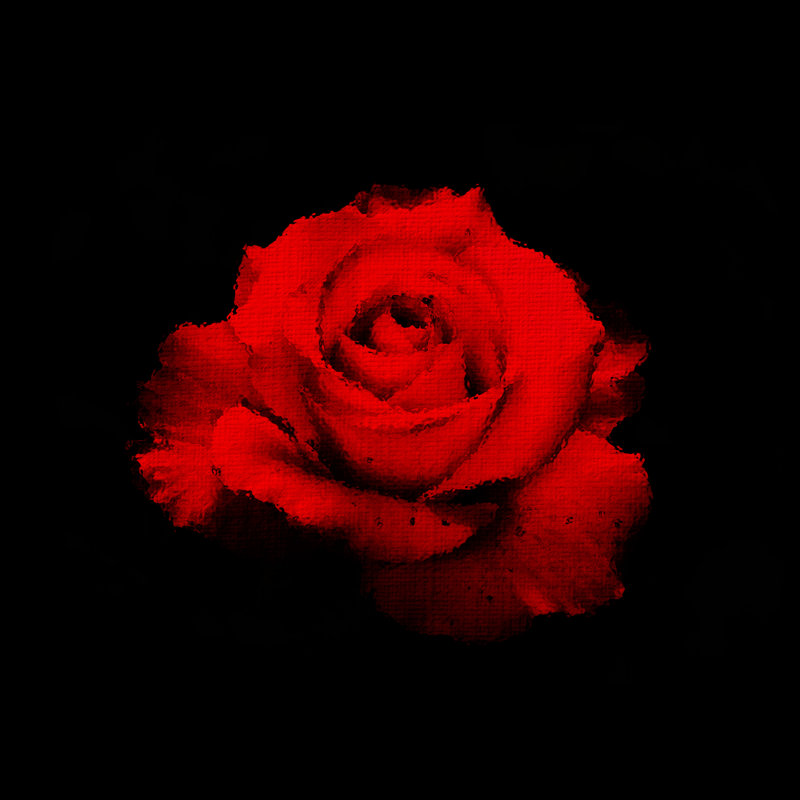 Thiele Stylized Red Rose - Wrapped Canvas Print, 30cm H x 30cm W x 3.8cm D