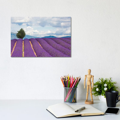 Ready For Harvest, Provence, France by Jim Nilsen - Wrapped Canvas Gallery-Wrapped Canvas Giclée