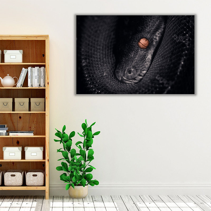 «Python Snake», reproduction d'art sur toile, H 24 po x l 36 po
