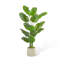 Simulation de banane grande plante verte-111038384
