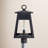 Tomlinson Seeded Lantern Head