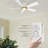 52" Alceu 5 - Blade Flush Mount Smart Ceiling Fan with Light-1414320974