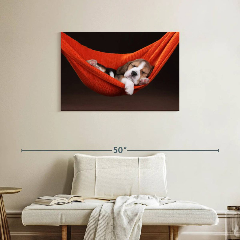 Brampt Beagle In Hammock