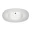 Mallory Freestanding Soaking Bathtub-2010503899-1975988239