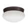 Essentials Glass LED Flush Mount
