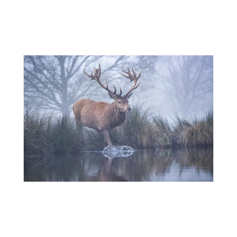 Entering The Stream by Max Ellis - Wrapped Canvas Painting, 20.32cm H x 30.48cm W x 1.905cm D