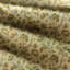 Thorny Vine-1163393737