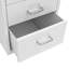 Hartger 28 cm W 6 -Drawer Mobile Stainless Steel Filing Cabinet