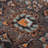 Prolley Oriental Indoor Rug-1410510331