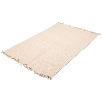 Charniqua Performance Hand Braided Wool Rug
