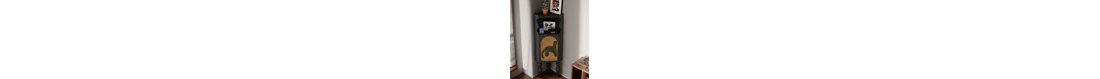 Modern multi-functional corner bookcase-110574667