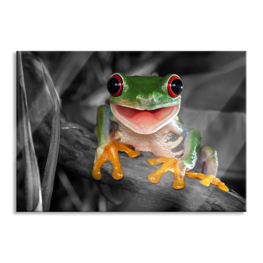 Glasbild Lachender Frosch mit Roten Augen auf Ast