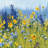 "Joyful In July III" by Shirley Novak Mixed Media Floral Painting Print -641795120-543924031-581905230