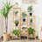 Ewanda Plant Stand