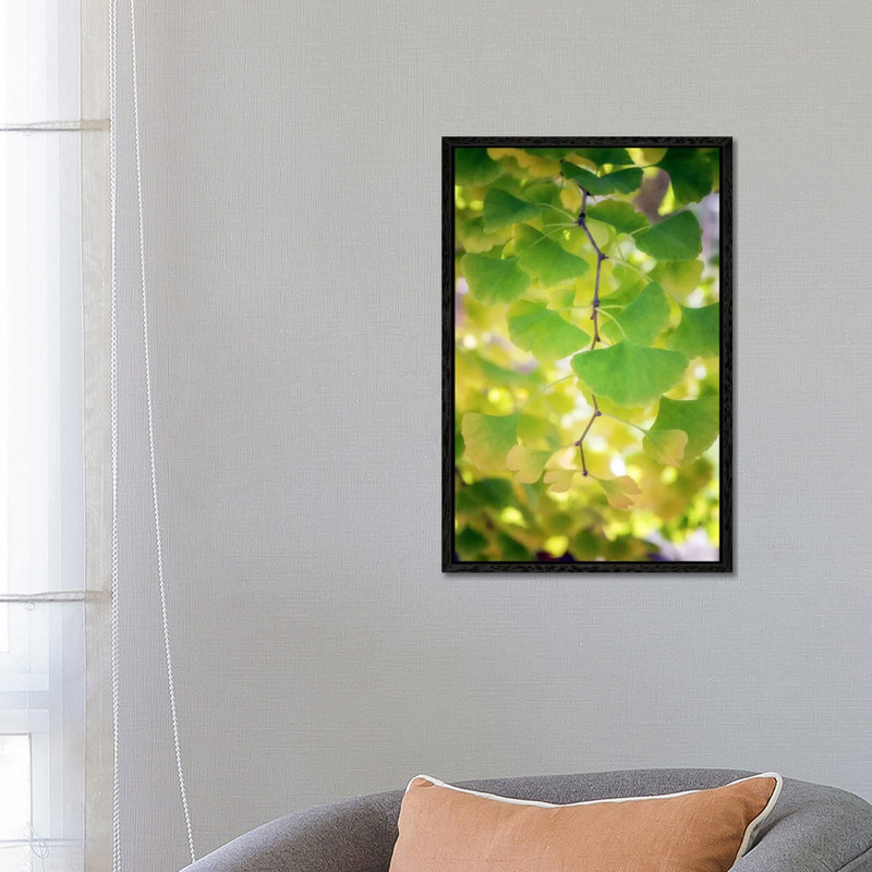 Fossil Leaves by Philippe Sainte-Laudy - Print on Canvas, 66.04 cm H x 45.72 cm W, Black Framed
