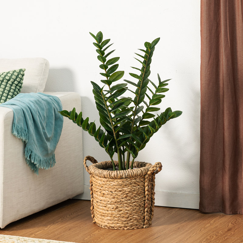 33"  Faux Money Tree in Pot Faux Tree