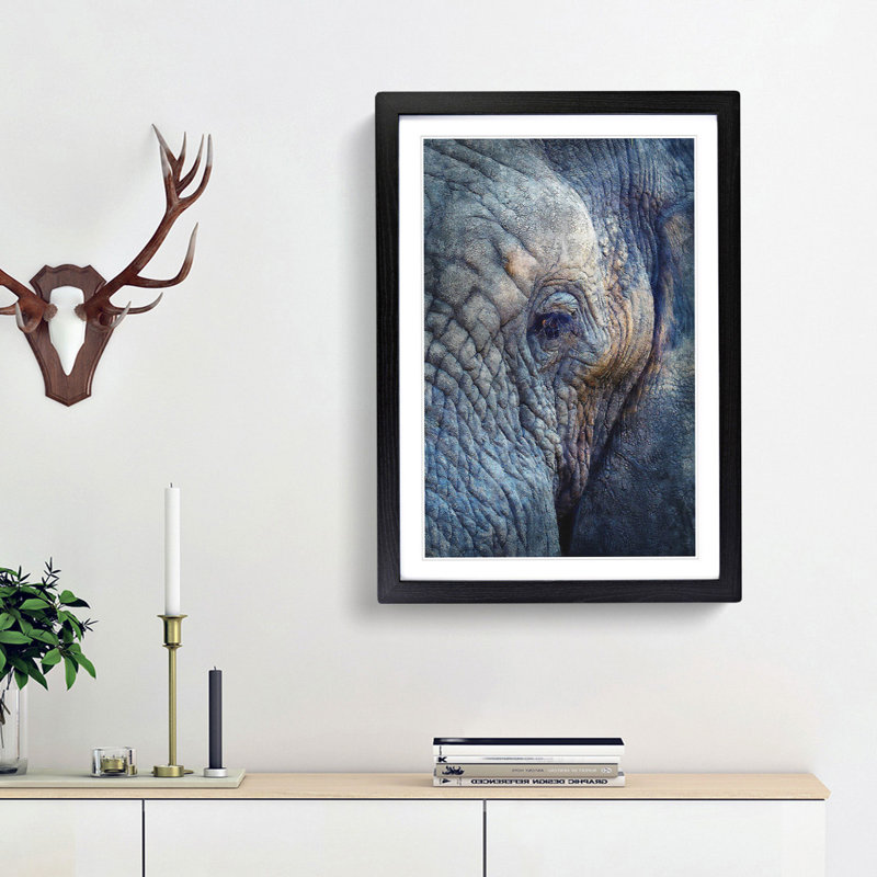 Blue Elephant - Picture Frame Photograph Print, Black Framed, 33cm H x 24cm W x 2cm D