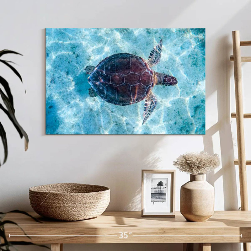 Brampt Turtle Swimming, 16" H x 24" W