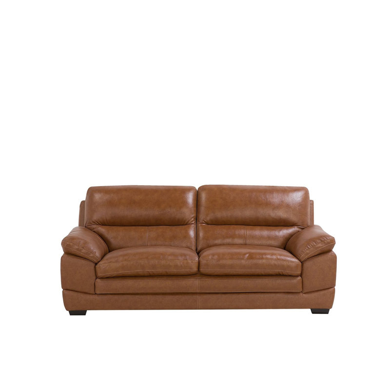 Heintz Faux Leather Sofa