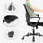 Aguilera Drusilla Ergonomic Mesh Task Chair-1573533922