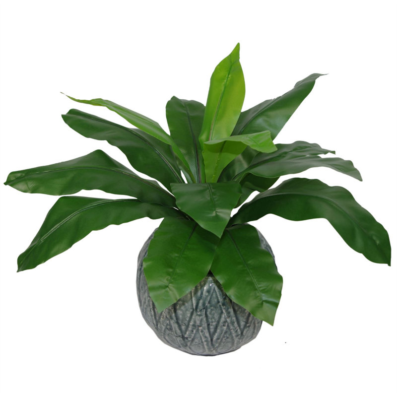 60cm Faux Fern Plant in Pot Liner, 50 cm x 50 cm