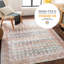 Oriental Area Rug-1671716382