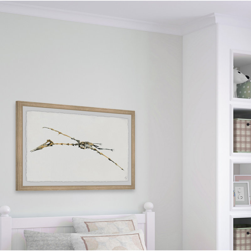 «Brokaw Pterodactyl Skeleton», reproduction encadrée, H 8 po x l 12 po x P 1,5 po