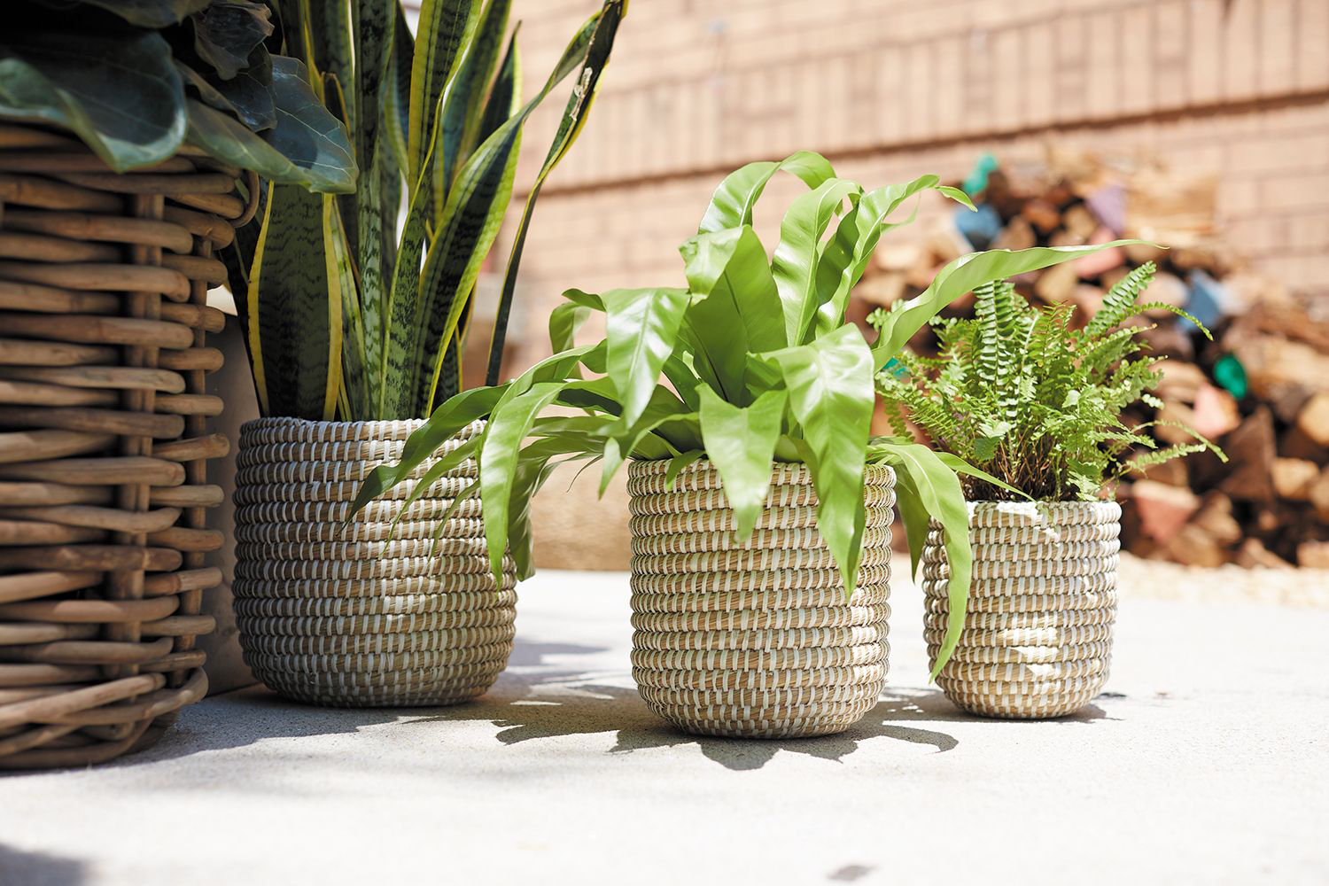 Abbs 10" Pot Planter, 9.75" H x 10" W x 10" D