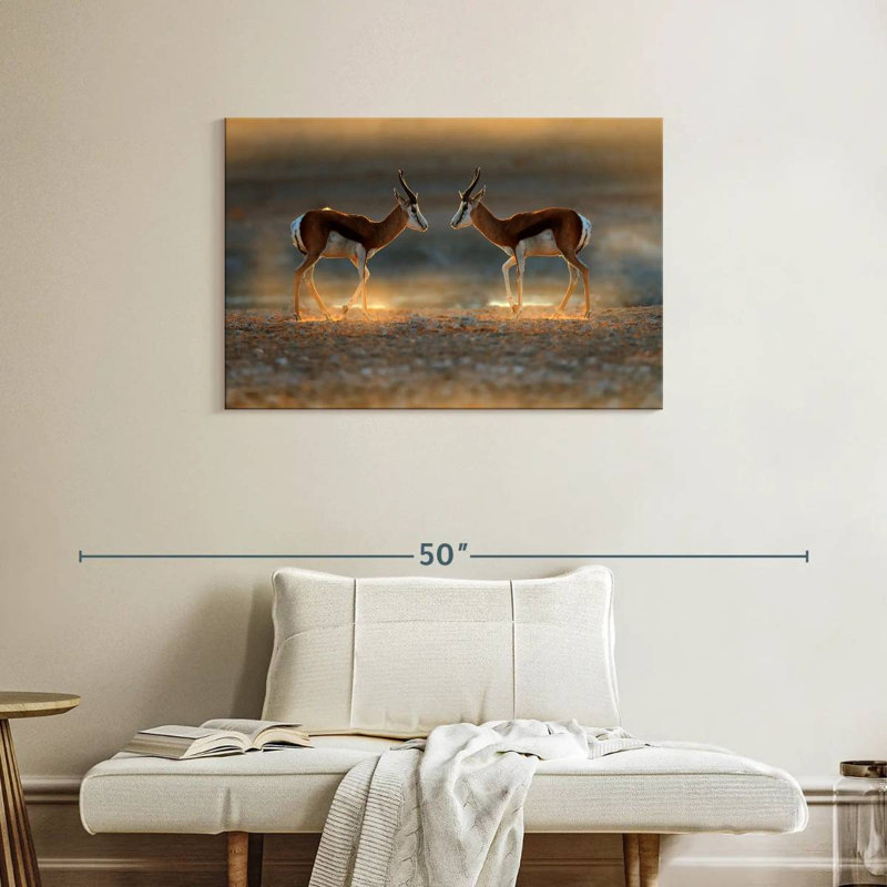 Brampt Springbok Antelopes, 24" H x 36" W